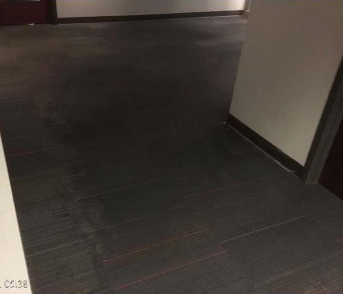Wet carpet in commercial hallway.