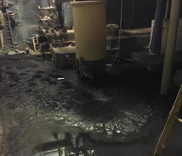 Black water on basement, sewage water. Sever sewage damage in a basement